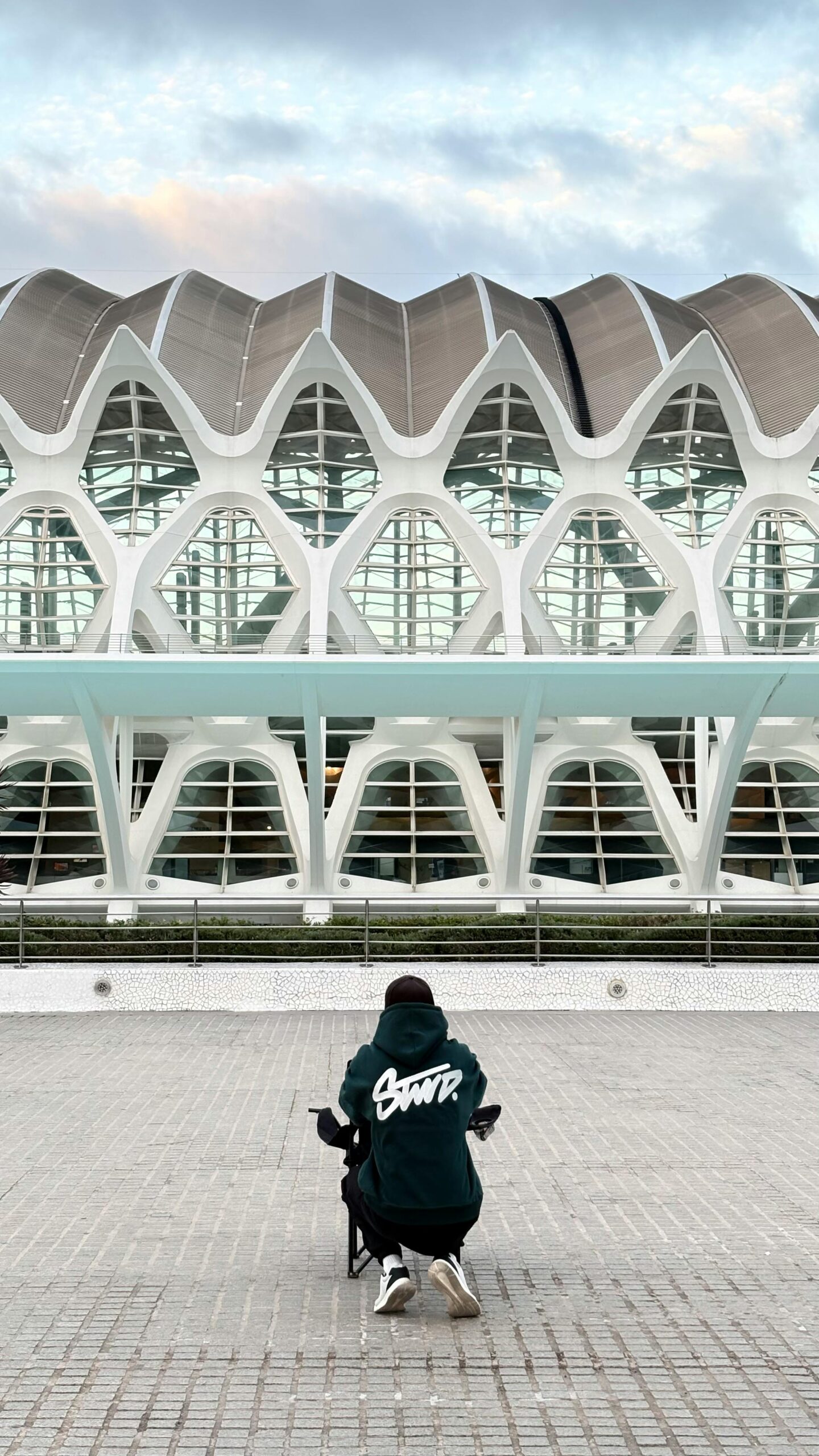 green hoodie green hoodie
